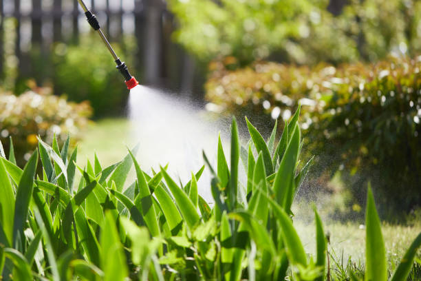 24/7 Emergency Bed Bug Control experts in North Charleston, SC