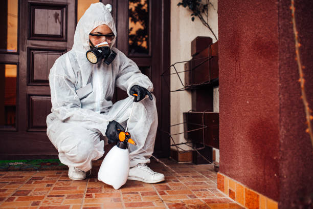 Reliable Bed Bug Control contractor in North Charleston, SC by Nex Pest Control