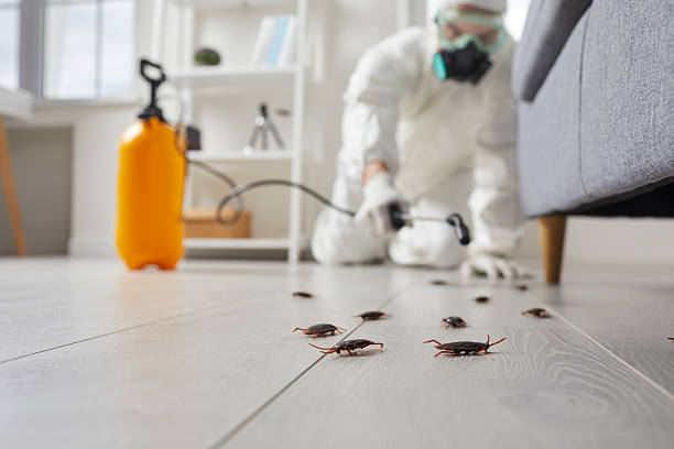 Trusted Emergency Pest Control service in North Charleston, SC - Nex Pest Control